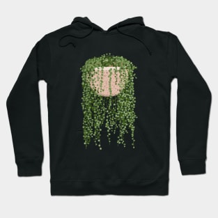 String of pearls plant illustration Hoodie